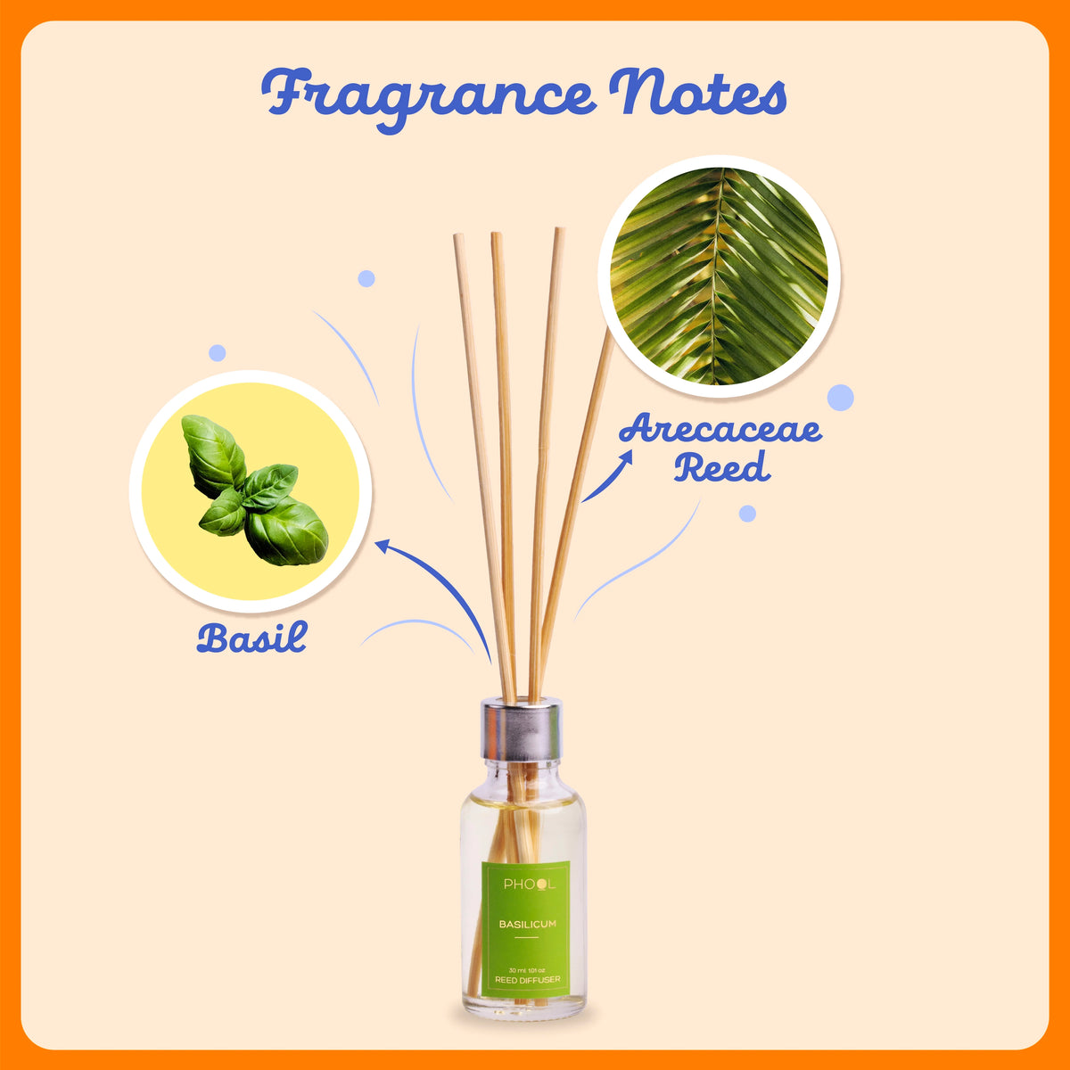 Phool Basilicum Luxury Reed Diffuser Set